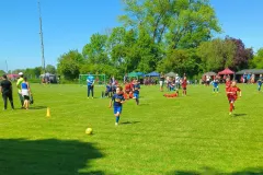IMG_20240511_152336_162