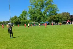IMG_20240511_152336_288