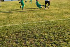 IMG_20250728_191911